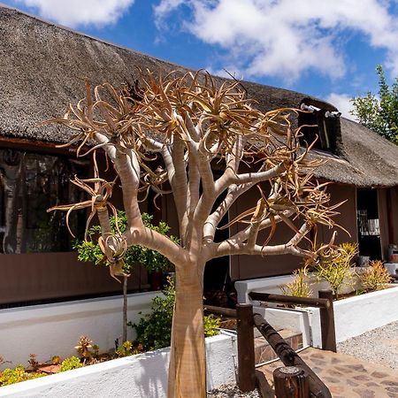 Kleinplasie Guesthouse Springbok Zewnętrze zdjęcie