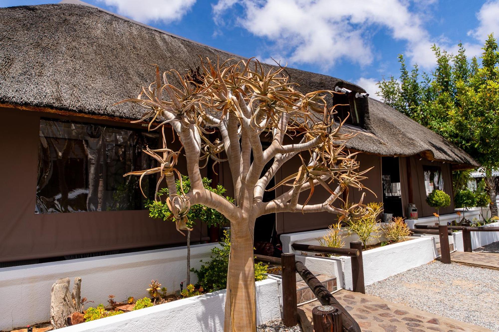 Kleinplasie Guesthouse Springbok Zewnętrze zdjęcie